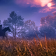 Assassin’s Creed Valhalla